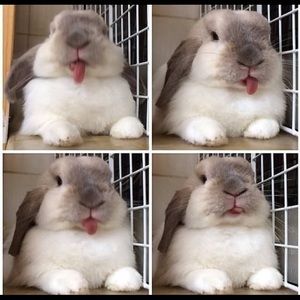 Meet your Posher, Pinar